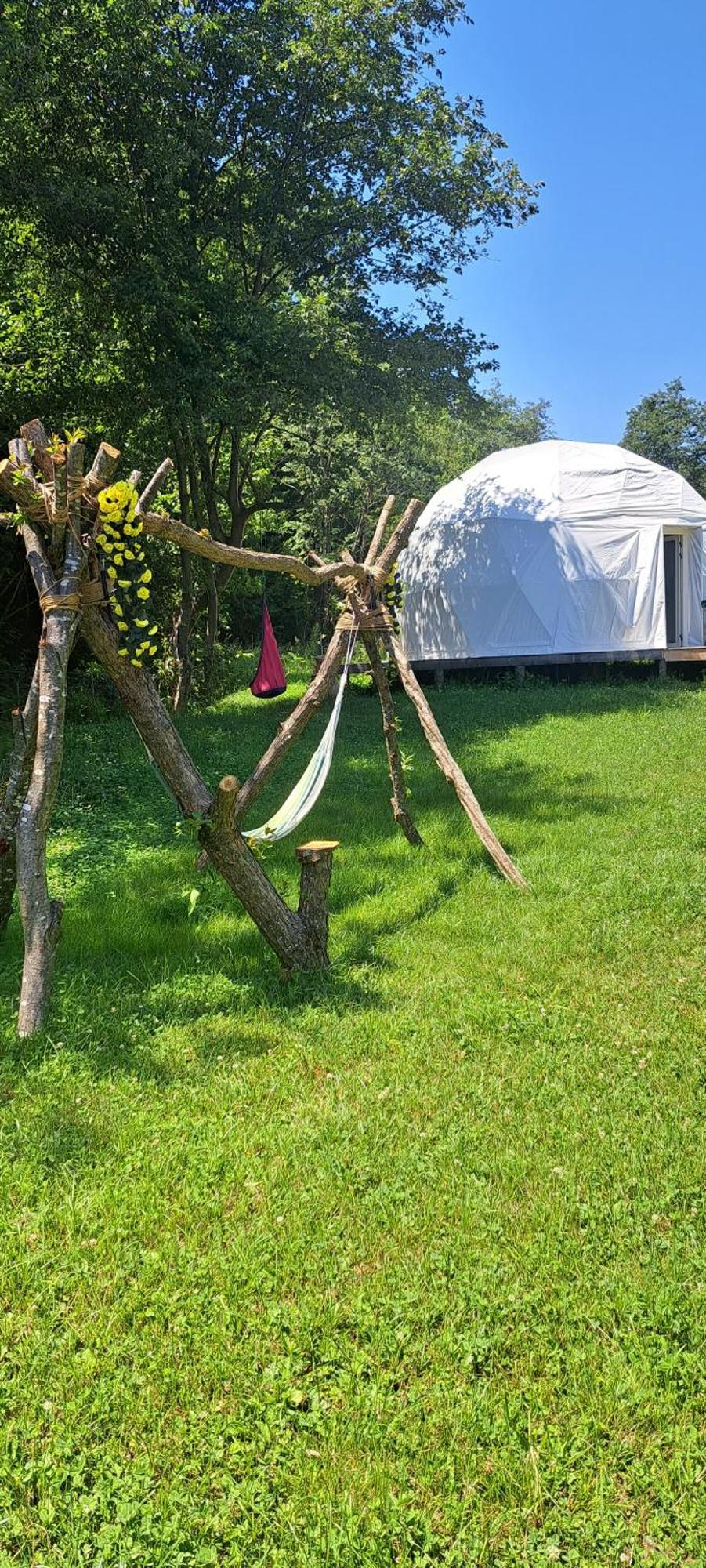 Forest Glamping Brasov Ngoại thất bức ảnh