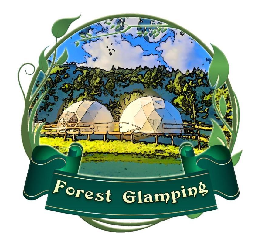 Forest Glamping Brasov Ngoại thất bức ảnh