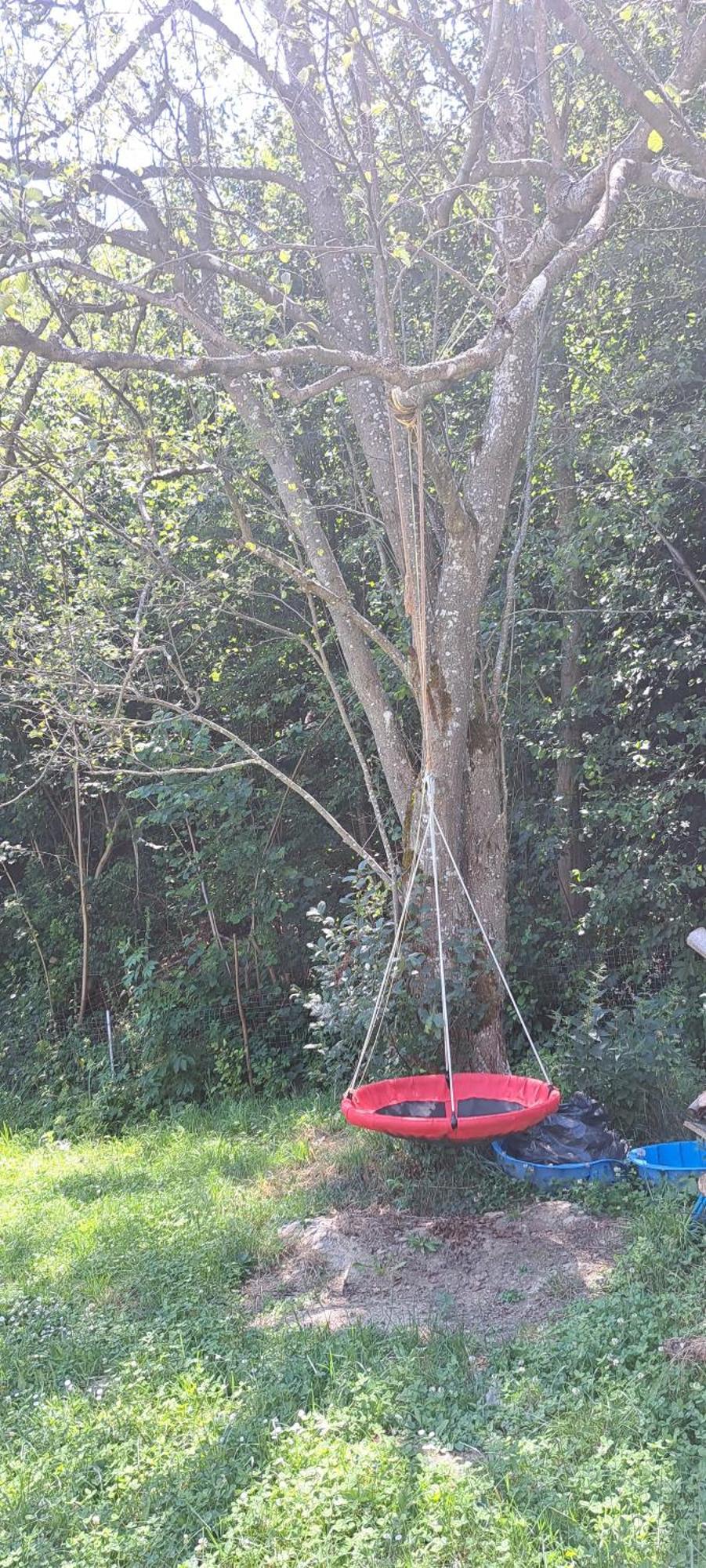 Forest Glamping Brasov Ngoại thất bức ảnh