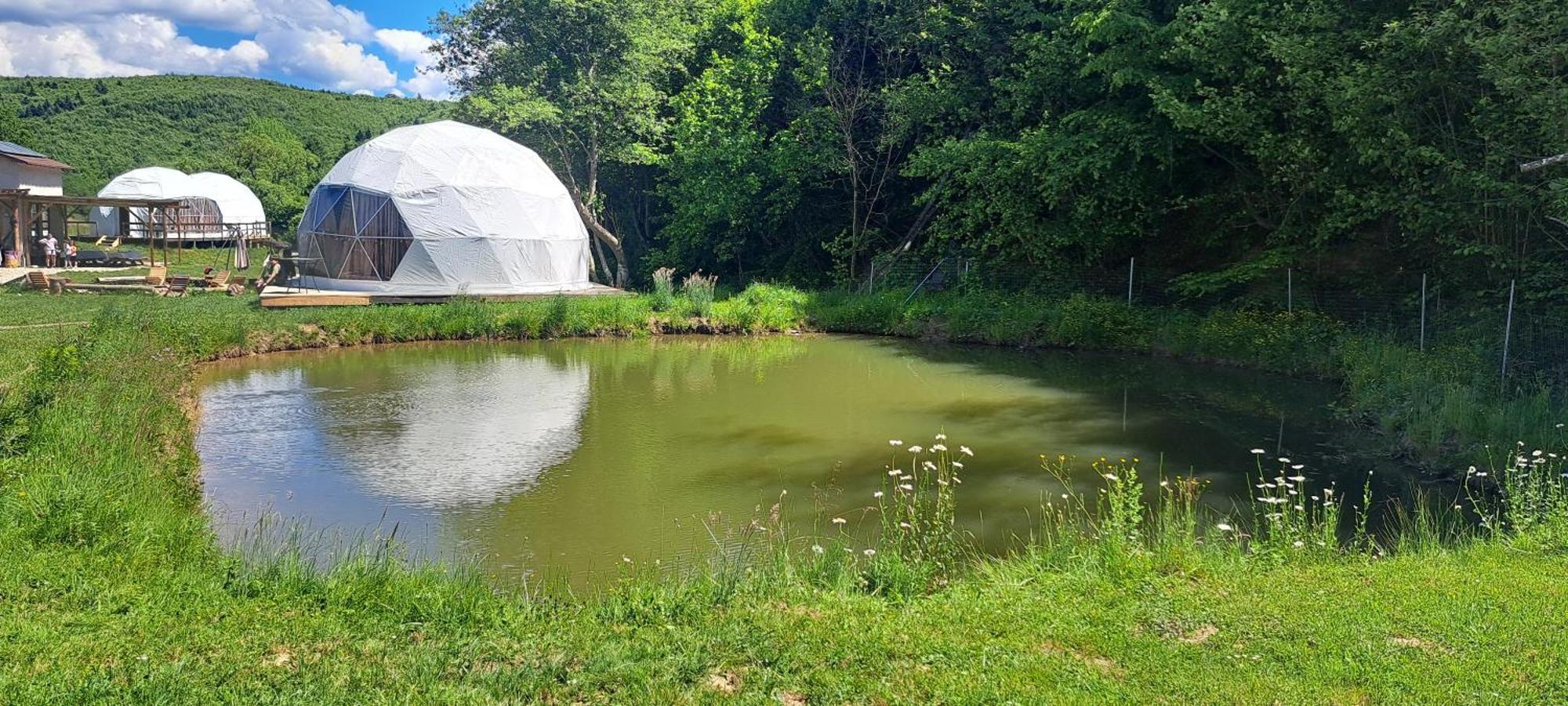 Forest Glamping Brasov Ngoại thất bức ảnh