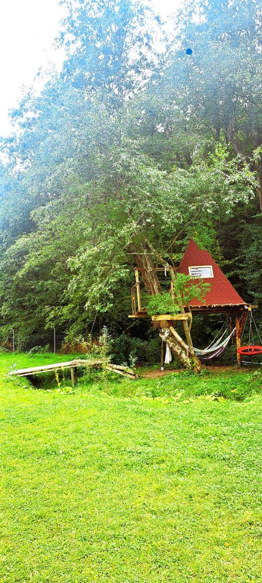 Forest Glamping Brasov Ngoại thất bức ảnh